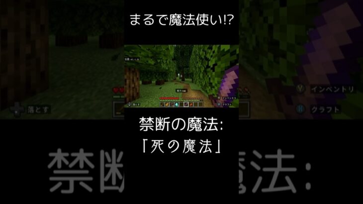 【マイクラ統合版:switch対応】まるで魔法使い!?禁断の魔法:「死の魔法」編＃マインクラフト＃マイクラ＃マイクラ統合版＃スイッチ＃switch#アニメ ＃コマンド＃まいくら