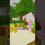 友達がバレリーナカプチーノになっちゃった！？ #マイクラ #マインクラフト #ぱちしゅう