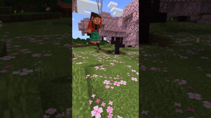 魔法が使えたなら…マイクラの世界に入ってみたい！