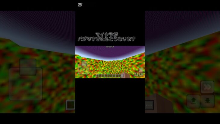 マイクラバグったー#マイクラ