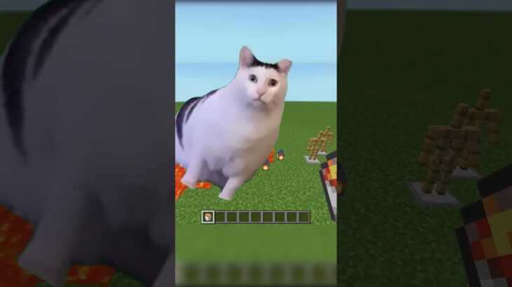 まさかのこれが、、、　＃マイクラ