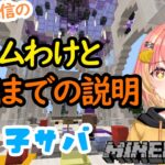 チーム振り分け　マイクラ魔法チーム編【たく鯖】
