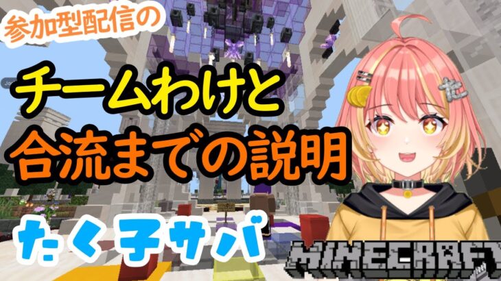 チーム振り分け　マイクラ魔法チーム編【たく鯖】