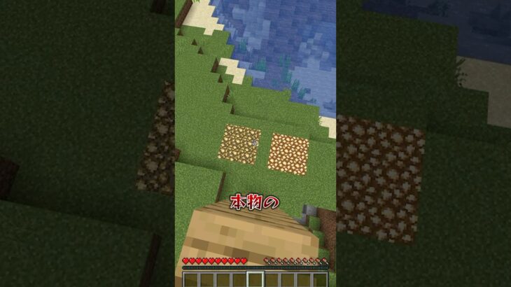 本物のブロックはどっち？ #マイクラ