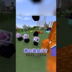 エンドクリスタルの秘密 #マイクラ