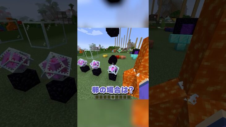 エンドクリスタルの秘密 #マイクラ