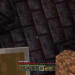 ハードコアでエンドラ討伐～ダイヤ装備やエンチャント禁止で～［マイクラ］