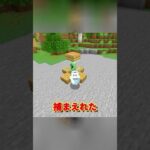 クリーパーをペットに!?🫣 #マイクラ