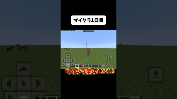 マイクラ歴別、ドアのクオリティの違い #マイクラ #マイクラ初心者