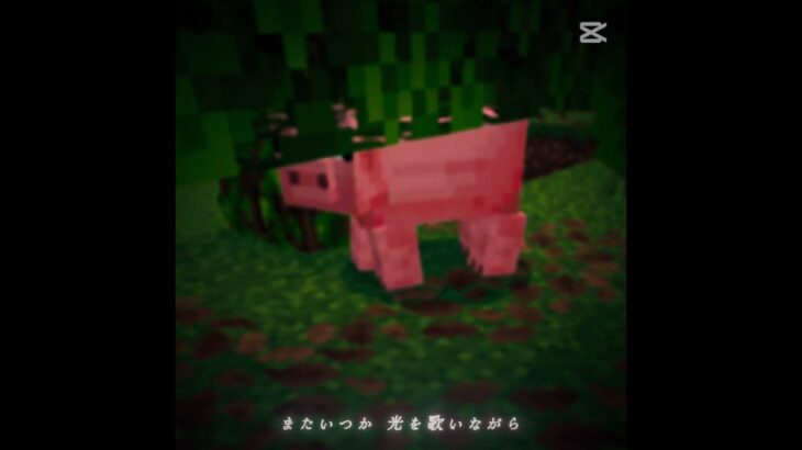 #マイクラ #マインクラフト