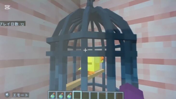 家をリフォームしました！家の紹介！#マインクラフト