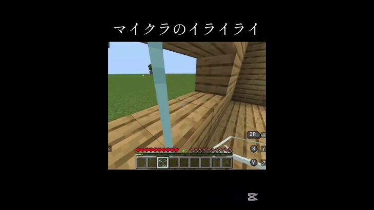 マイクラのイライラ#マインクラフト #マイクラ