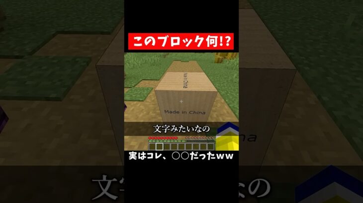謎のブロックが落ちてきた #マイクラ #マインクラフト #いまコン！
