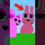 ピンキーに巨大な家をつくってプレゼントするマインクラフト【スプランキー】