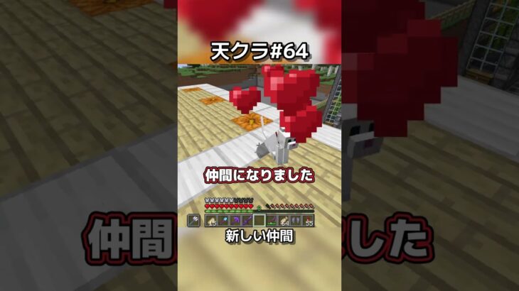 新しい仲間ができました【マイクラ実況】