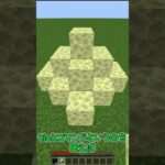 【マイクラ】 あるコマンドを使えばプロみたいに見えるようになる！？【裏技】