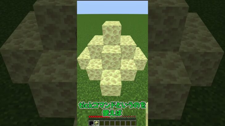 【マイクラ】 あるコマンドを使えばプロみたいに見えるようになる！？【裏技】