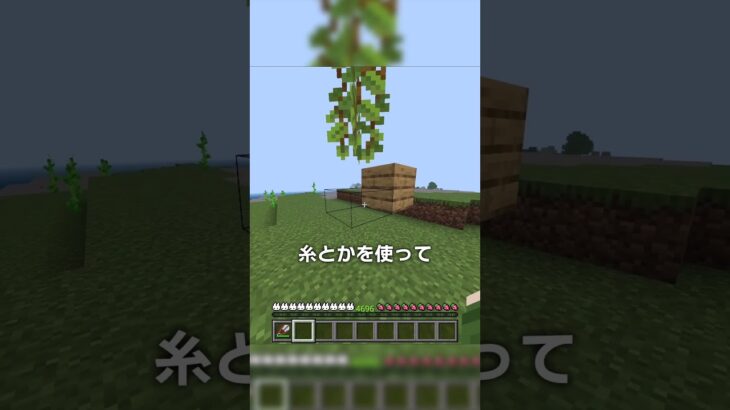 統合版ではなんと…【マイクラ豆知識 解説 裏技】