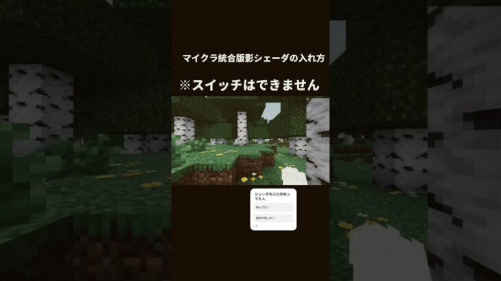 マイクラ統合版影シェーダの入れ方 #マイクラ