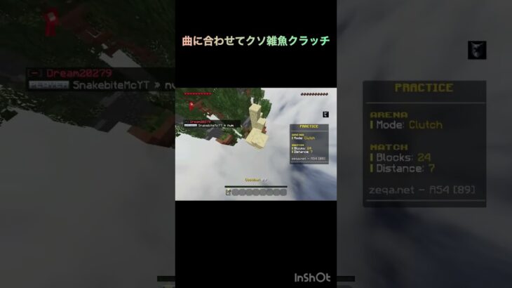 下手でごめんなさい😢 #マイクラ