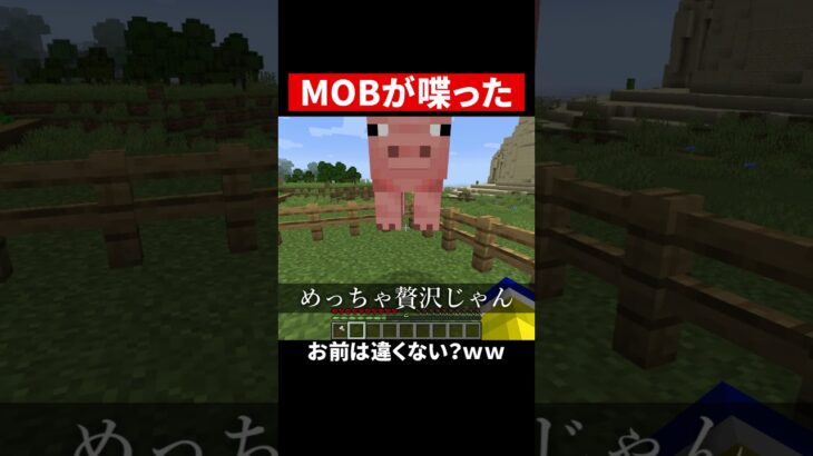 もしも動物が喋れたら #マイクラ  #マインクラフト #いまコン
