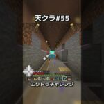 エリトラでかっこよく飛びたい【マイクラ実況】