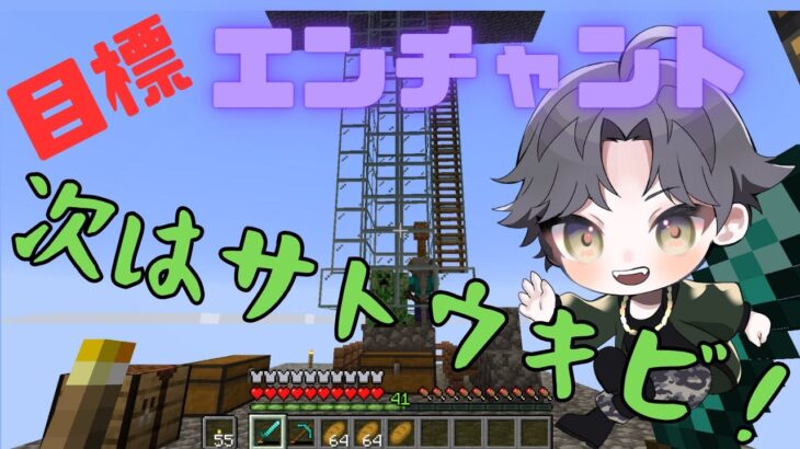 のんびり【マインクラフト】目標、エンチャント、次はサトウキビ！