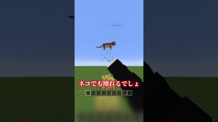 小麦の不思議🤫【マイクラ】