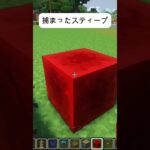 捕まったスティーブ～走れアレックス～マイクラ