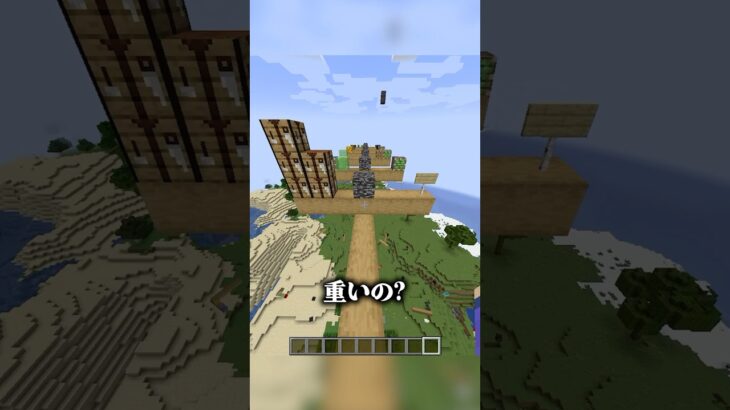 どっちが重いか当ててみて #マイクラ