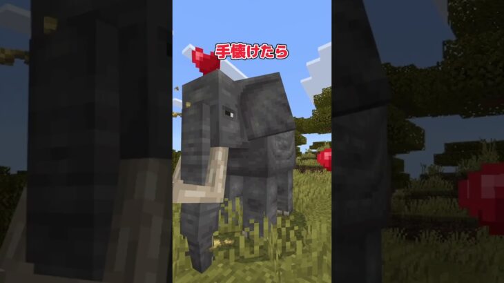 【アドオン紹介】いつも追いかけてゆくよ【統合版マイクラ】