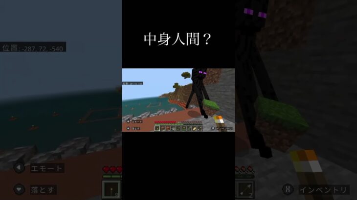 エンダーマン人間説 #マイクラ #マインクラフト