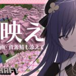 【マイクラ】桜映えスポット計画・資源鯖探検　他【先斗寧/にじさんじ】