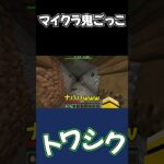 マイクラ上手い奴vs下手#マイクラ鬼ごっこ #トワシク #マイクラ