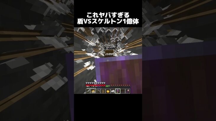 盾vsスケルトン1億体 #shorts #マインクラフト #マイクラ
