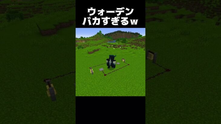 ウォーデンバカすぎるw #shorts #マインクラフト #マイクラ