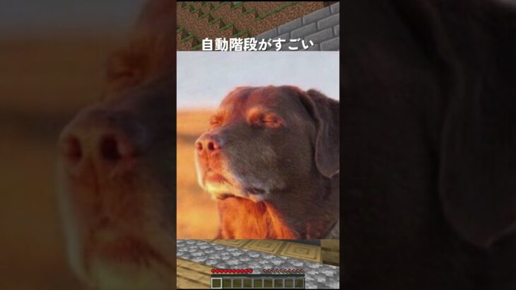 令和最新版の自動階段ww #マイクラ #minecraft #マインクラフト