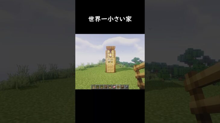 1番小さい家#マイクラ #マインクラフト #minecraft #ゲーム shorts