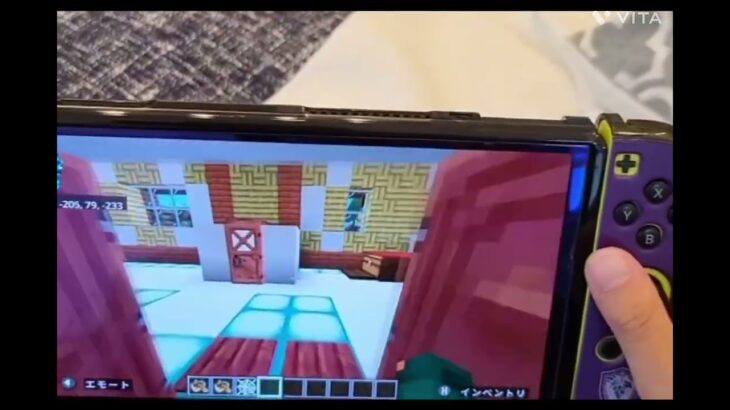自分の家紹介【小2のマイクラ】