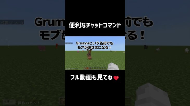 【マイクラコマンド】ネザー＆エンド転送＋裏ワザ召喚！便利なチャットコマンド4選 #Shorts
