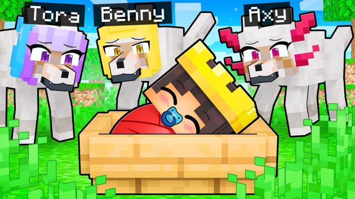 Baby Mongo Adopted by Wolves Sad Story in Minecraft!