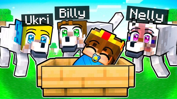Baby Semlaki adoptiert von Wölfen Traurige Geschichte in Minecraft!
