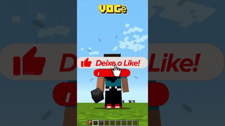 COISAS QUE NÃO FAZEM SENTIDO NO MINECRAFT