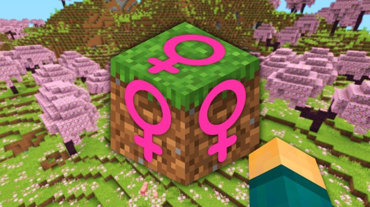 Criei um Minecraft para Meninas