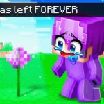 DASH IS GONE IN MINECRAFT!