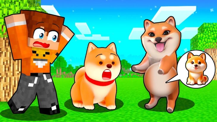 DZIEWCZYNA SHIBY JEST W CIĄŻY w Minecraft 🦴💗