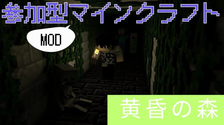 【Java版マイクラMOD参加型配信】#7　エリトラとりいく
