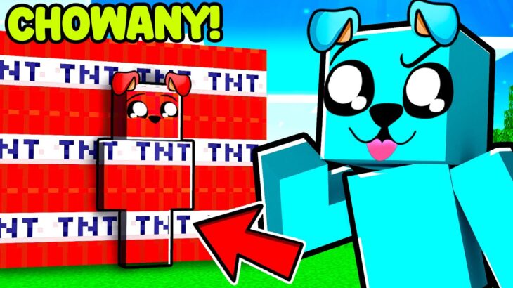 KAMUFLAŻ CHOWANY w Minecraft 🤔🤔🤔