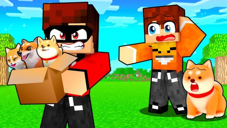 KTOŚ UKRADŁ NASZE PIESKI SHIBY w Minecraft!