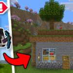 🔴 (LIVE) 24/7 Playing Minecraft & Building LEGO Minecraft Sets In-Game! (21115 The First Night)